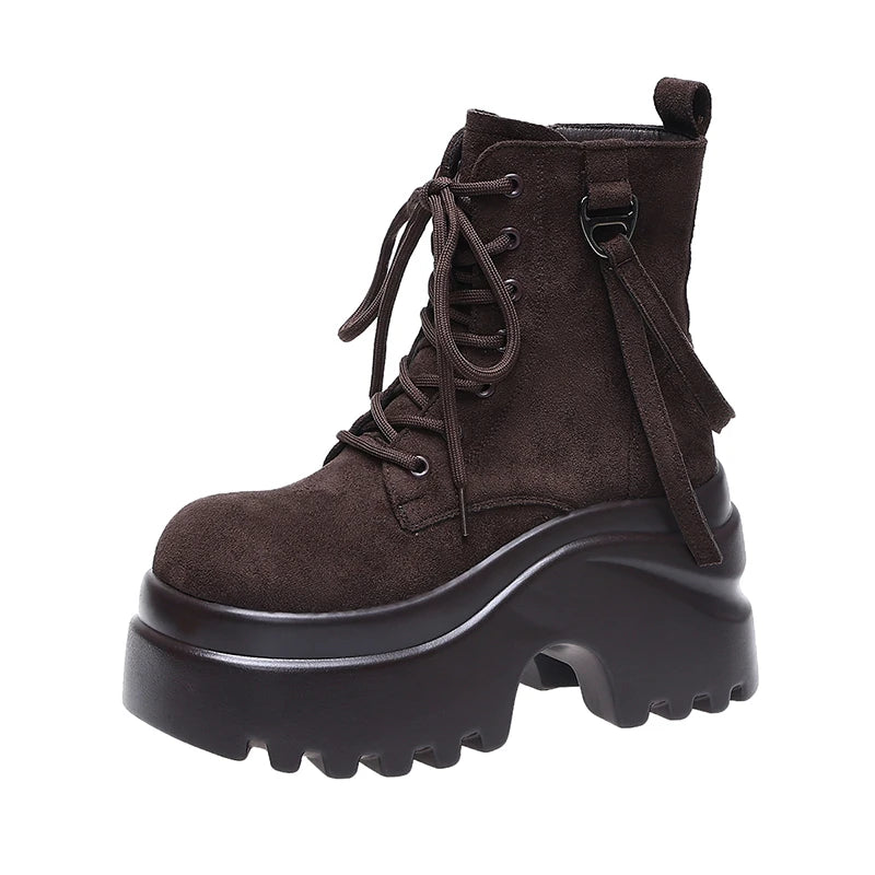 Ankle Boots For Women New 2025 Winter Motorcycle Boots 9CM Wedge Heels High Platform Shoes Woman Autumn Thick Sole Punk Boots